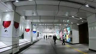 Shinjuku Station to Tokyo Metropolitan Government Building | Tokyo Leisure Walk | Japan 4K ASMR