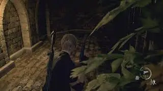 RE4 Remake [Hardcore]