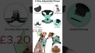 Durable dog harness with padded comfort & adjustable leash