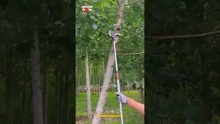 Simple and Best Tree Branch Pruning Pole Saw