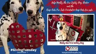 Keep Kids Fire Safe Foundation's #GivingTuesday Video