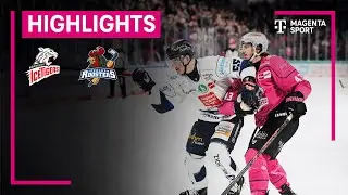 N&uuml;rnberg Ice Tigers - Iserlohn Roosters | PENNY DEL | MAGENTA SPORT