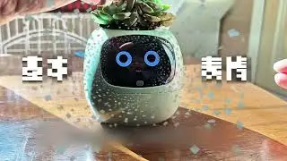 Ivy Smart Planter &ndash; Inteligentna Doniczka z AI, kt&oacute;ra &bdquo;m&oacute;wi&rdquo;, czego potrzebuje roślina