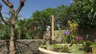 Presentation Tropis Living projects in Bali.