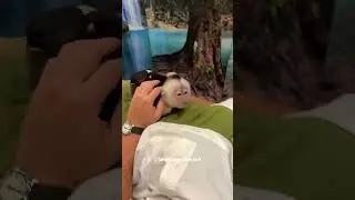 We take a nap right here 😂🐵