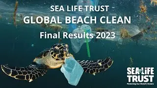 SEA LIFE TRUST Global Beach Clean: Final results 2023