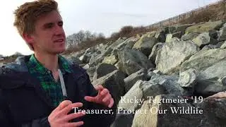 Salve Regina University: Protect our Wildlife
