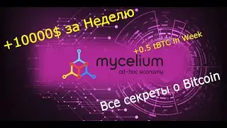 +10000$ за Неделю = 0.5 tBTC in Week
