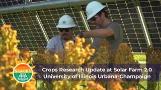 Solar Farm 2.0 SCAPES Crops Research Update