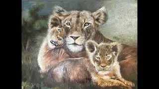 A collection of paintings by William Griffith