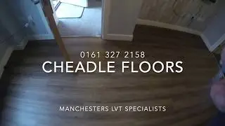 Floors For Paws
