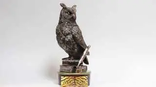 Статуэтка Сова на книгах Paolini PL433