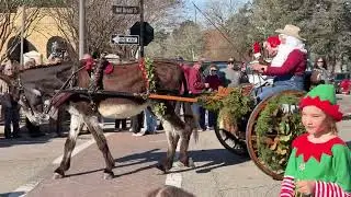 Christmas Carriage parade Southern Pines 2025