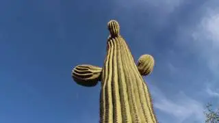 Tucson is Good for Business