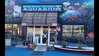 🔴 LIVE - #LIVE FATHER FISH AND JOEY IN THE SUNDAY FORUM 3/21/21