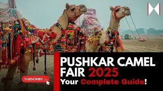🐪 Pushkar Camel Fair 2025 &ndash; Your Complete Guide! 🎡✨