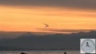 Sunrise on Boundary Bay, BC