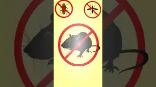 20000Hz SOUND destroys mice, rats and insects.#anti#mouse#cockroach#mosquito#repellent#