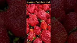 Top 5 Amazing Facts About Food 😱 | Fact | Fact in Hindi #shorts