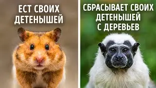Животные, которые шокирующе плохие родители