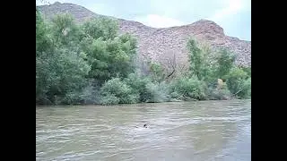 Un clavado en el Rio Nazas