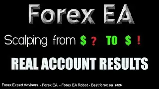Best Forex EA Scalping 2026 | High Accuracy & Low Drawdown