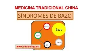 1. Spleen Syndromes. Chinese Medicine Course. IMG Center