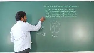 No.1 Residential PU Science College in Davanagere | SPSMR 18 CELL CYCLE  CELL DIVISION