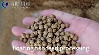 How to make fish feed Bird feed ?