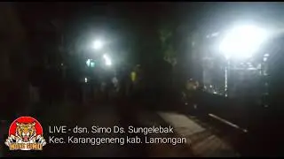 SAKIT DALAM BERCINTA - Versi patrol WONG SIMO 2020