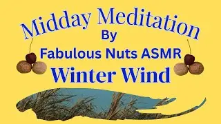 ASMR Winter Wind & Marsh Grass | Soothing Golden Hour Loop