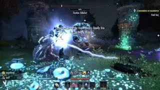 ESO - Double Storm Atronach