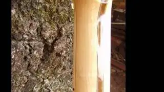 Guitarras Teleopardo e Telewood F.Moffato.wmv