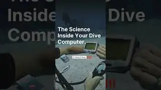 Blog Post: The Science Inside Your Dive Computer