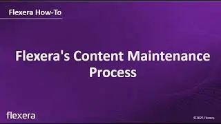 IT Visibility, Technology Intelligence & Technopedia | Content Maintenance