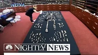 Epic Pre-Human Discovery: Meet the Distant Cousins We Never Knew We Had | NBC Nightly News