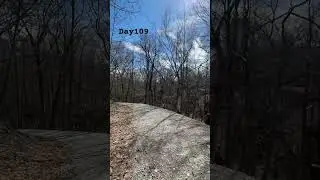 Day - 109; #shorts #forestvisit
