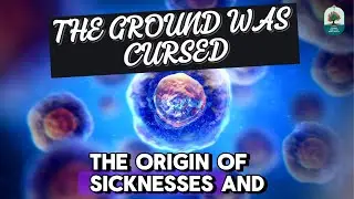 Why God Cursed the Ground, Not Adam | Act 1 Scene 12