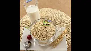Oatmeal machine Oat Processing Equipment Oat flaker machine Oatmeal Making Machine Suppliers