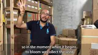 Jos&eacute; Erub&iacute;el Mota Mart&iacute;nez: Reproducing Papalometl