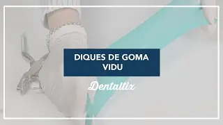 Dique de Goma Vidu