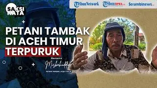 SAKSI KATA - Petani Tambak di Aceh Timur Terpuruk, Modal Ludes Diterjang Banjir