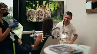 Timber Dental Care | Best Dentist Thornton Co