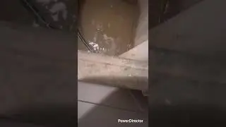 Washing part 3