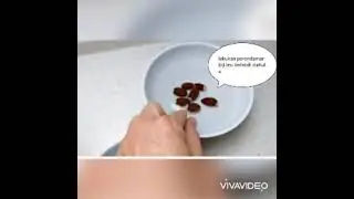 Cara praktis budidaya buah leci madu
