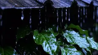 Gentle Night Rain ASMR 💦 Calming Sounds for Anxiety & Insomnia