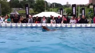 Ultimate Air Dogs