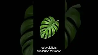 Leaf overlays shorts Leaf animation overlays shorts leaf background no copyright HD shorts 17