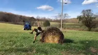 &ldquo;The Ranch Games&rdquo; Hay Jump