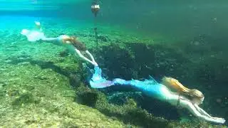 Maine Mermaids Florida Springs Adventure Trailer | MERNATION TAILS